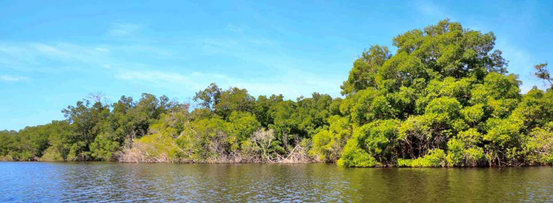 Oaxaca, estado privilegiado en Patrimonio Biocultural