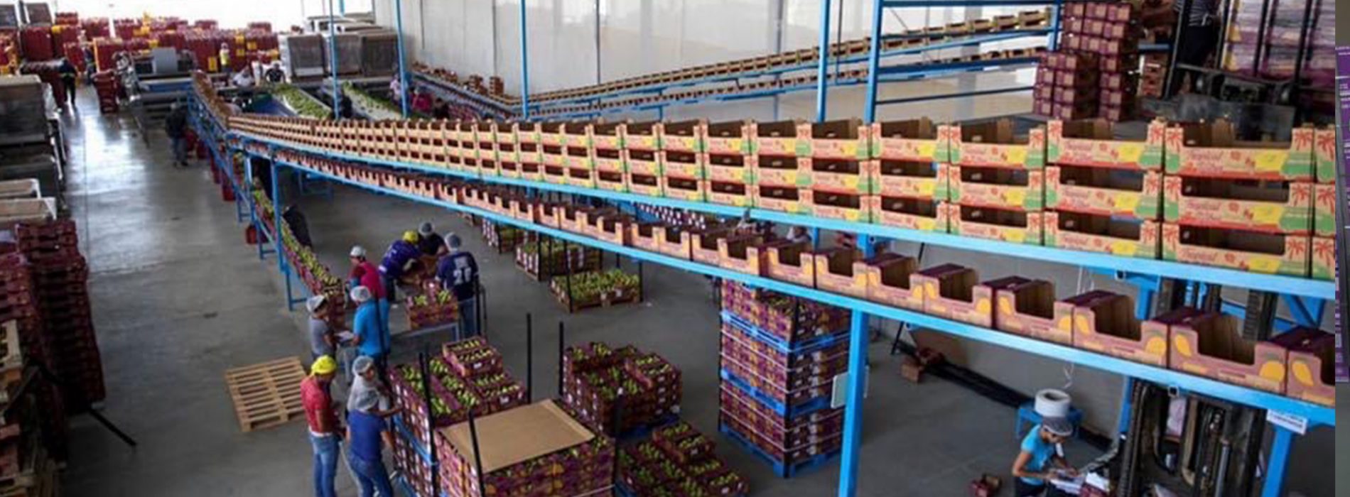 Se consolida Oaxaca en la exportación de productos agroalimentarios