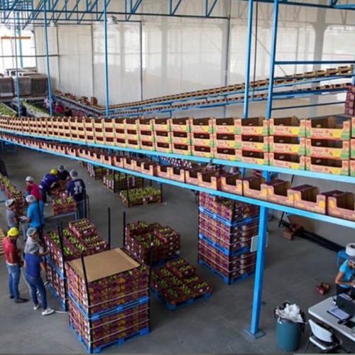 Se consolida Oaxaca en la exportación de productos agroalimentarios
