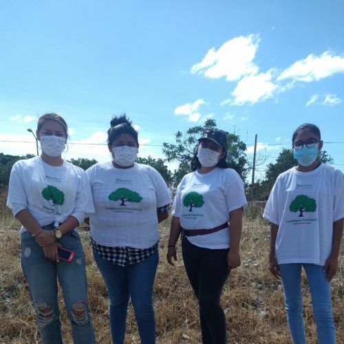 Envía diputada Aurora López Acevedo plantas a Juchitán para jornada de reforestación