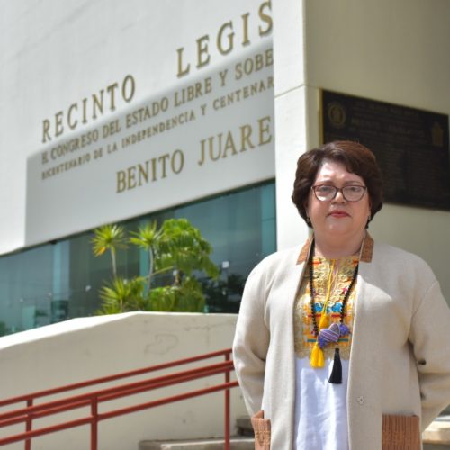 Demanda diputada Aurora López Acevedo igualdad entre mujeres y hombres en puestos de representación política