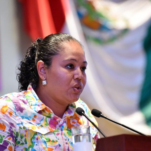 Diputada de morena impulsa reforma para combatir impunidad ante la  desaparición de personas