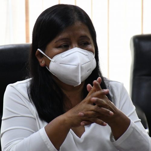 Impulsa diputada, Griselda Sosa medidas para garantizar la reparación de  daños ecológicos en Oaxaca