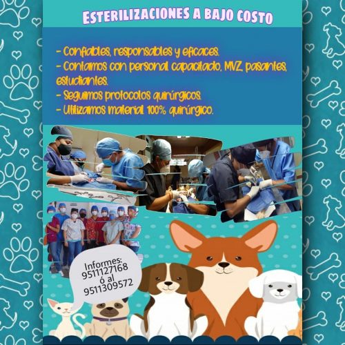 La UABJO, ofrece el servicio de esterilización canina y felina