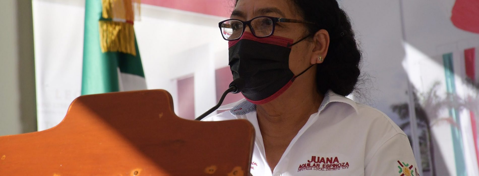 Grupos vulnerables, un compromiso para el Congreso local: diputada Juana Aguilar