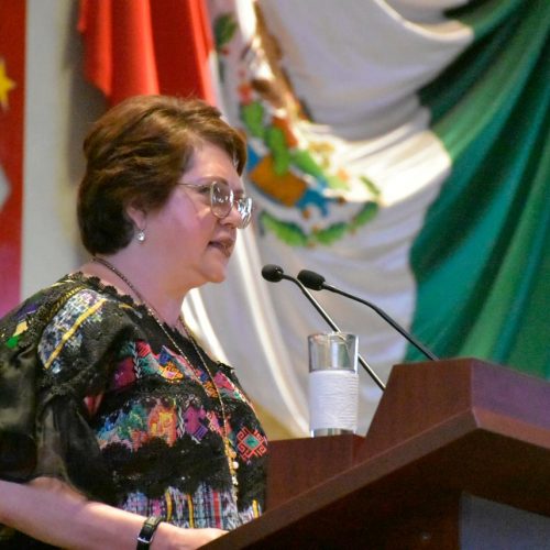 Ante el incremento a los precios, la diputada Aurora López Acevedo pide se reduzcan los precios del Gas L.P.