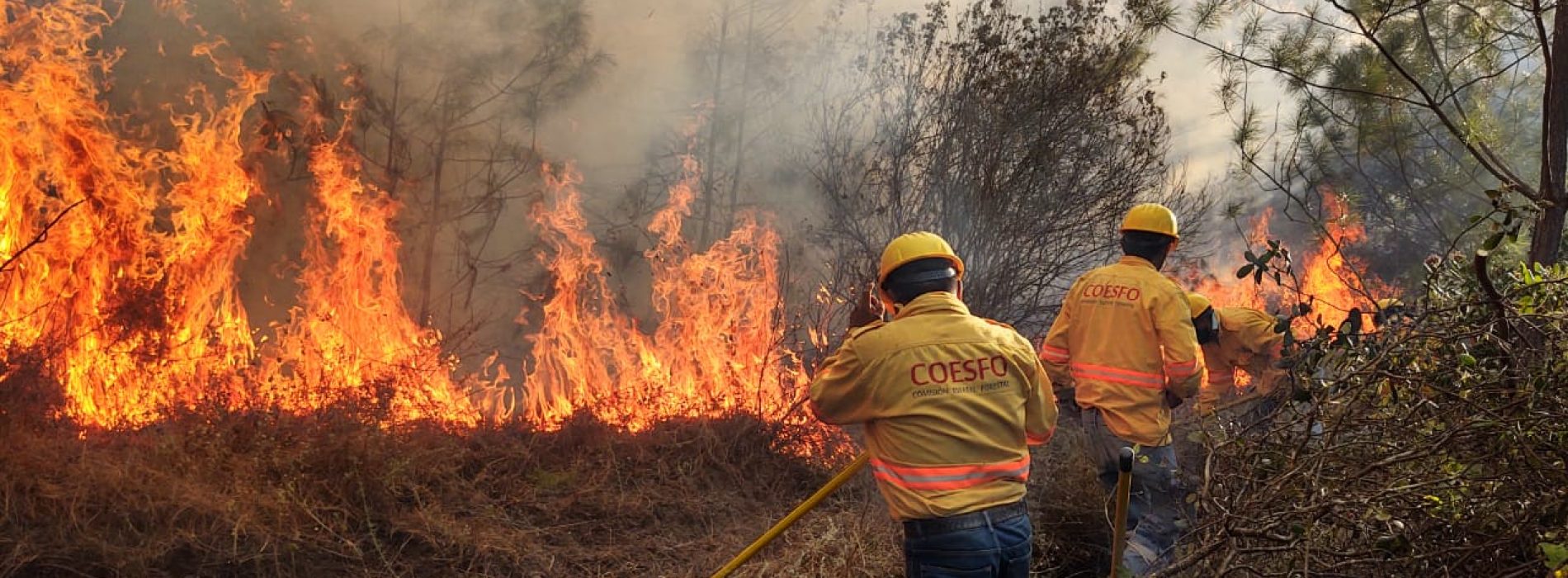 Implementa Coesfo acciones de atención inmediata a incendios forestales