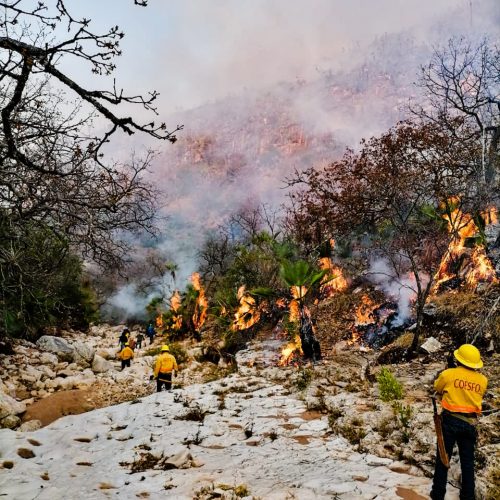 Controla Coesfo incendio en Magdalena Jaltepec