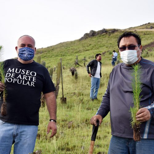 Propone Horacio Sosa instaurar en Oaxaca reconocimiento al mérito ecológico comunitario “Bety Cariño Trujillo”