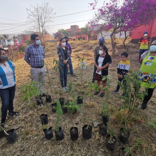 Coordina Ayuntamiento de Oaxaca reforestación de área verde del Mercado Zonal de Santa Rosa