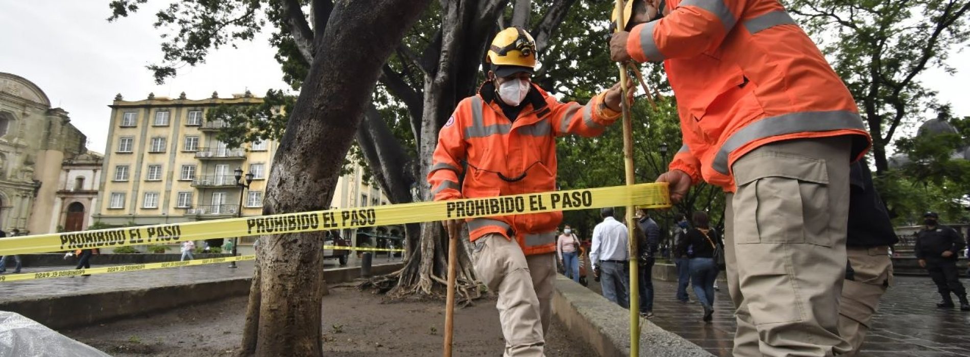 Ayuntamiento de Oaxaca acordona áreas del Zócalo ante posibles afectaciones en el arbolado por lluvias