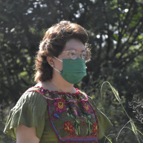 Aurora López Acevedo logra que Congreso del Estado apruebe iniciativa para el cuidado de áreas verdes en el municipio de Oaxaca de Juárez.