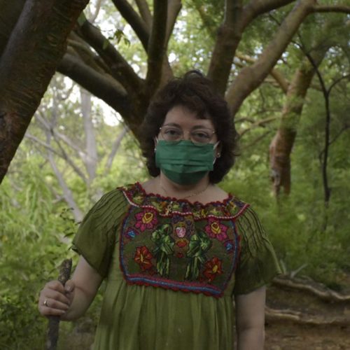 Combatir plaga de Muérdago para salvar arbolado Oaxaqueño,  iniciativa aprobada de Aurora López Acevedo