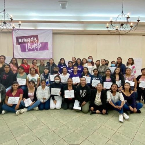 Urge Brigada Violeta erradicación de violencias de género