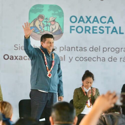 Pone en marcha Gobierno del Estado el programa «Oaxaca Forestal», sembrarán 200 mil hectáreas de plantas