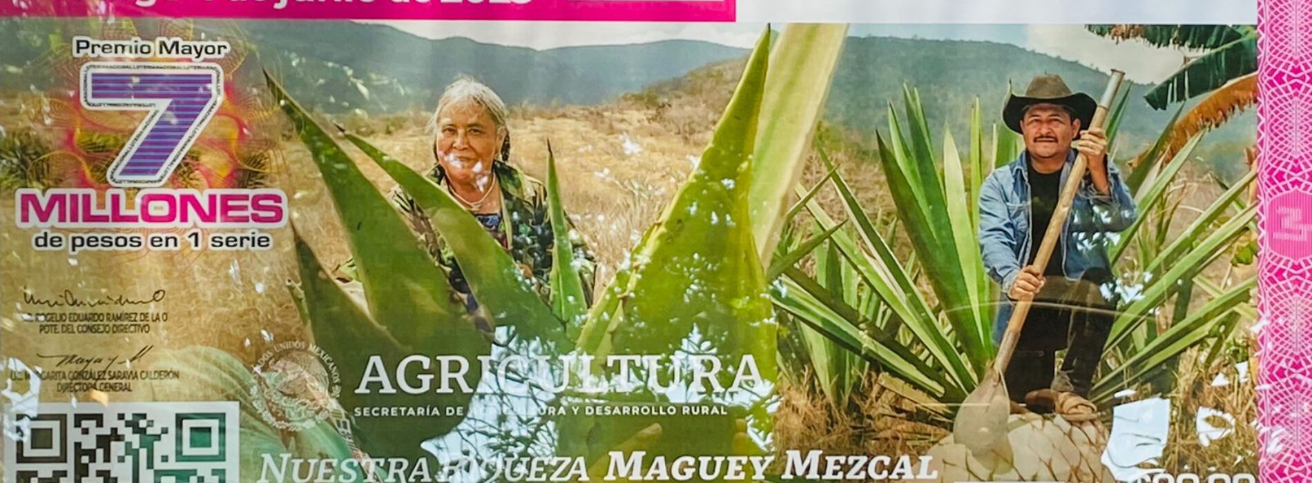Devela Lotería Nacional billete alusivo al Maguey-Mezcal